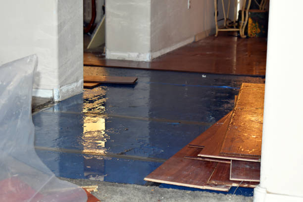 Professional Burst Pipe Cleanup technician working in Harmony, RI